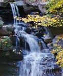 flushing_05